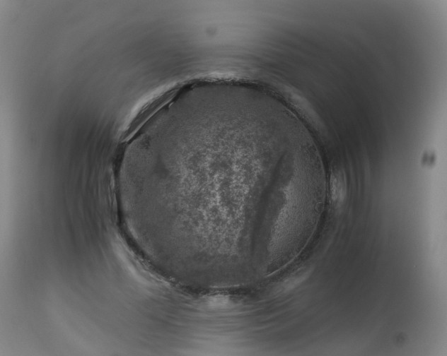 X0000112880588200908281639