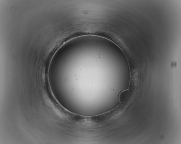 X0000112880589200908281639