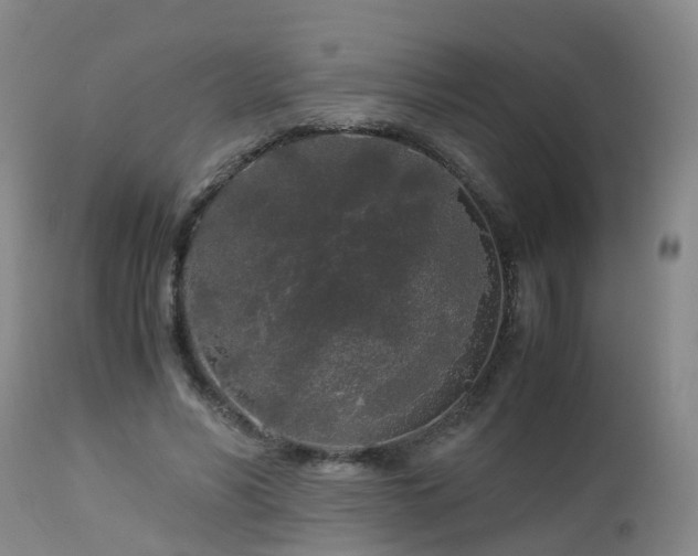 X0000112880590200908281639