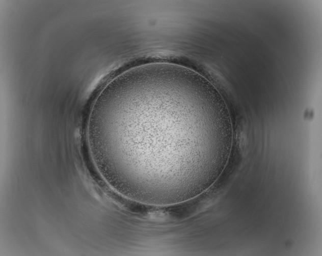 X0000112880591200908281639