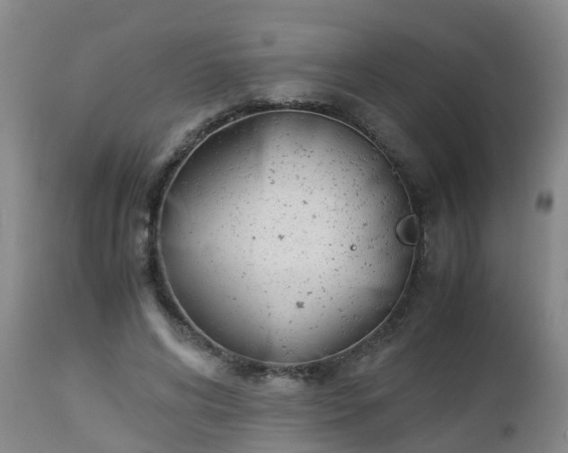 X0000112880592200908281639