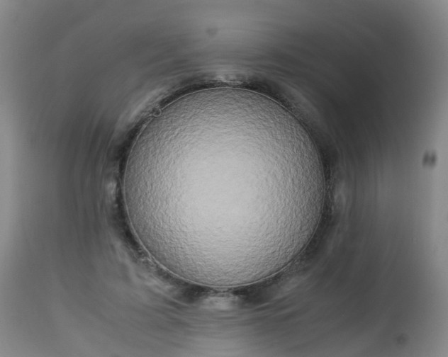 X0000112880595200908281639