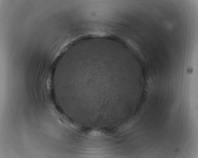 X0000112880596200908281639