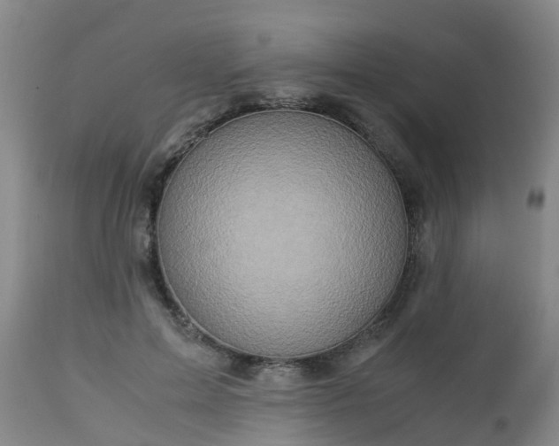 X0000112880599200908281639