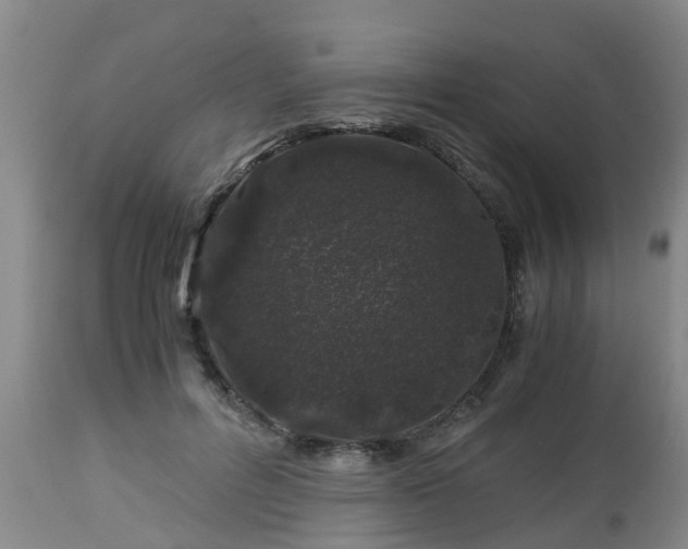 X0000112880600200908281639