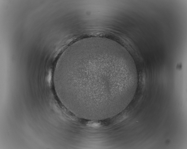 X0000112880602200908281639