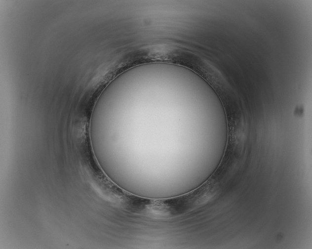 X0000112880603200908281639