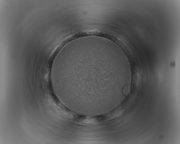 X0000112880604200908281639