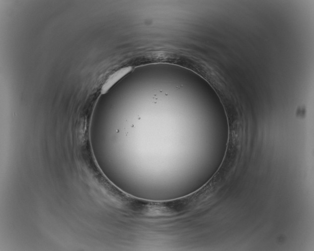 X0000112880605200908281639