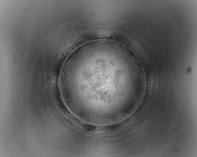 X0000112880608200908281639