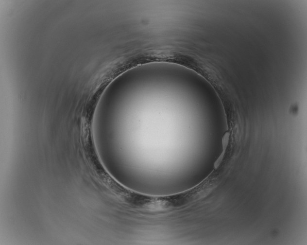 X0000112880609200908281639