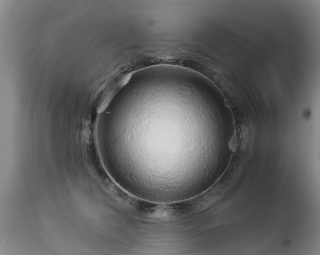 X0000112880612200908281639