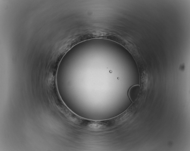 X0000112880614200908281639