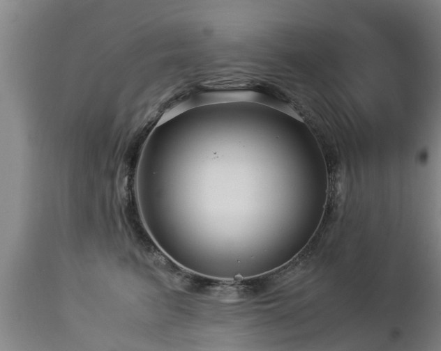 X0000112880615200908281639