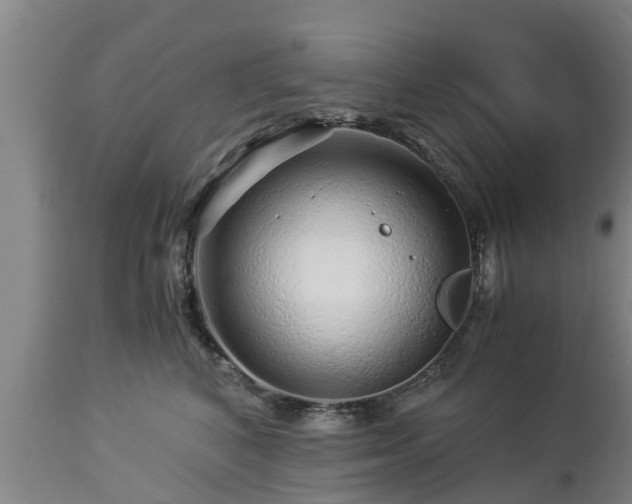 X0000112880616200908281639