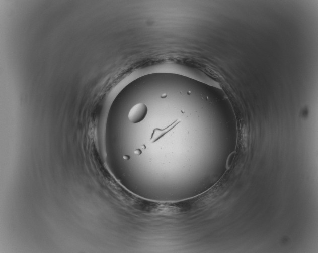 X0000112880617200908281639