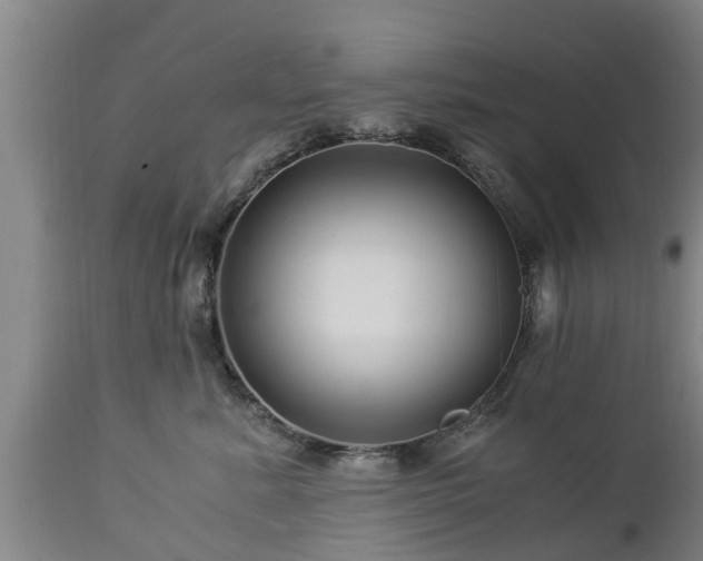 X0000112880619200908281638