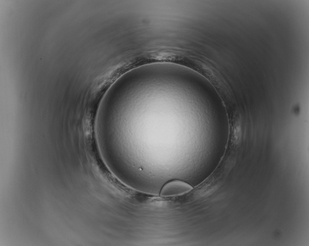 X0000112880620200908281638