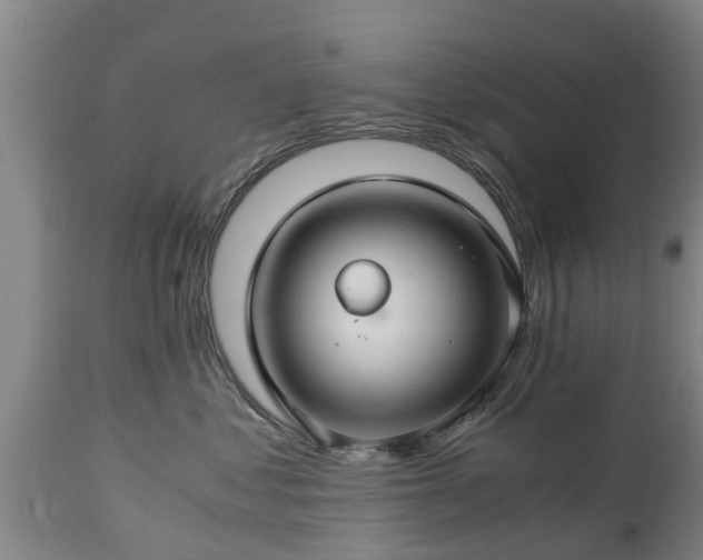 X0000112880621200908281638