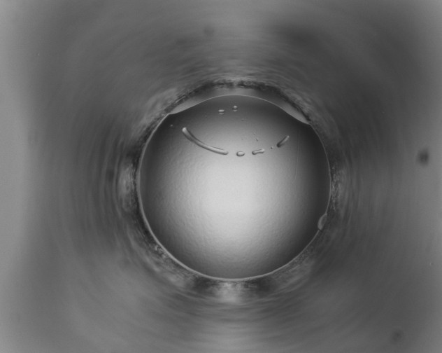 X0000112880623200908281638