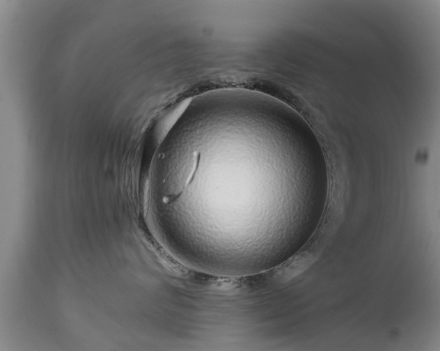 X0000112880624200908281638