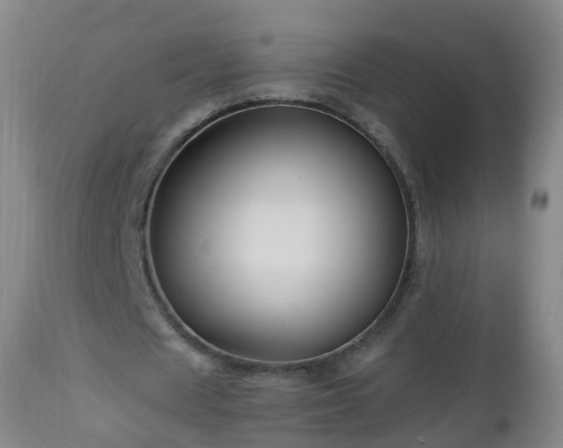 X0000112880625200908281638