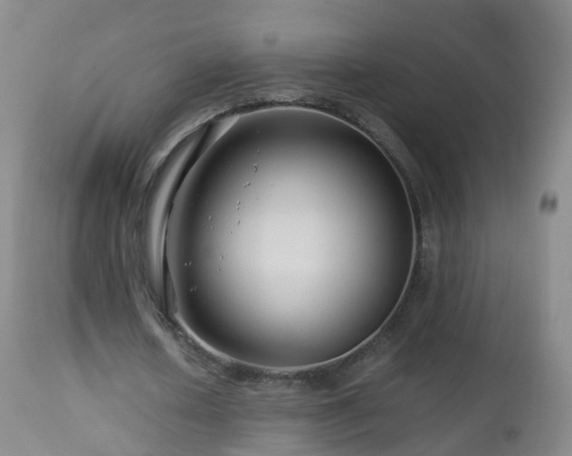 X0000112880626200908281638