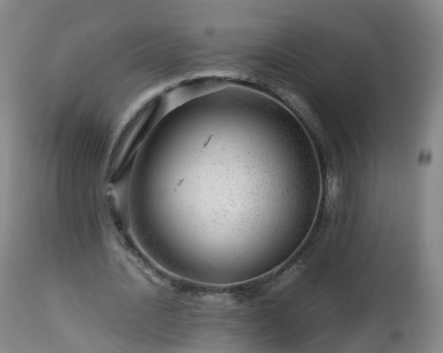 X0000112880628200908281638