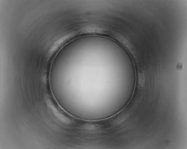 X0000112880629200908281638