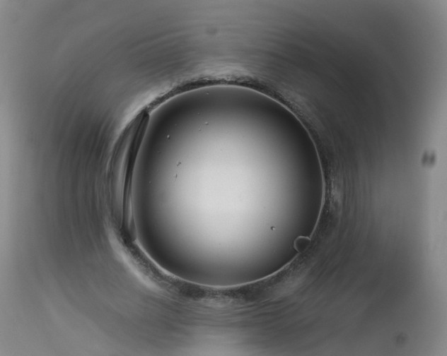 X0000112880630200908281638