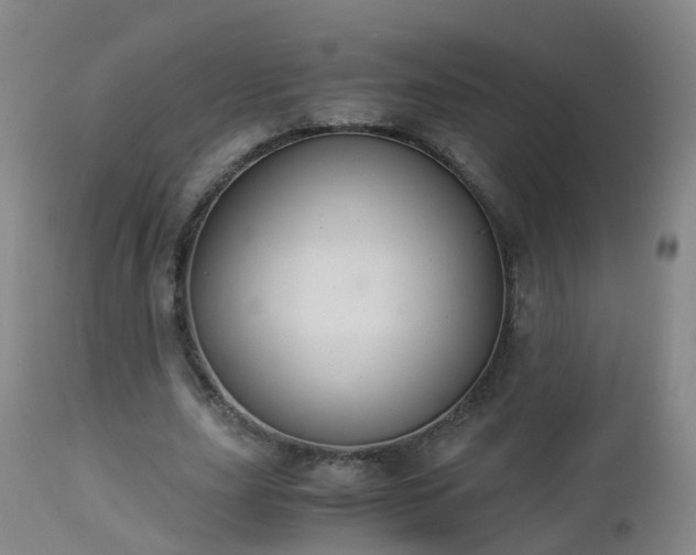 X0000112880631200908281638