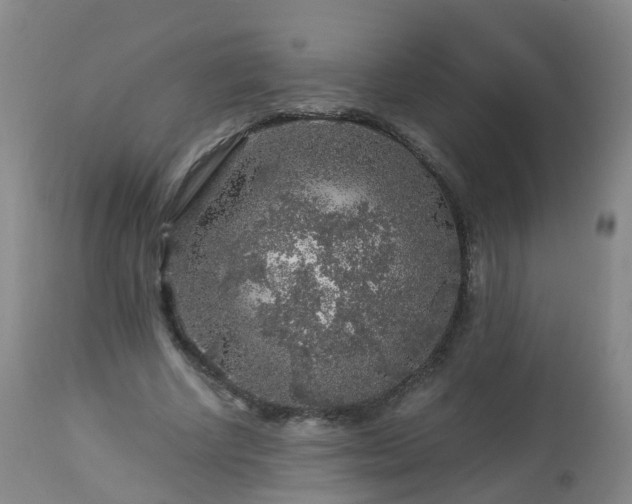 X0000112880634200908281638