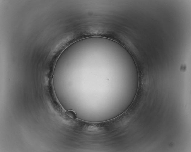 X0000112880635200908281638