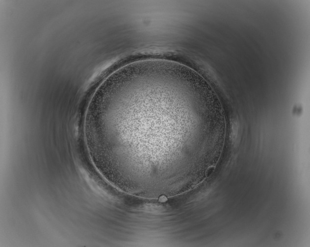 X0000112880636200908281638