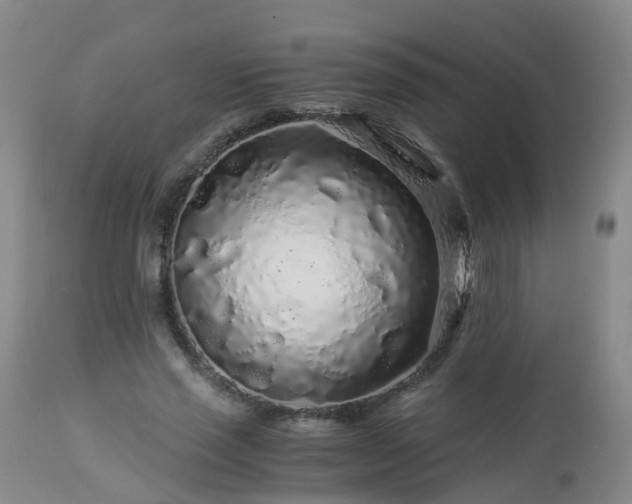 X0000112880637200908281638