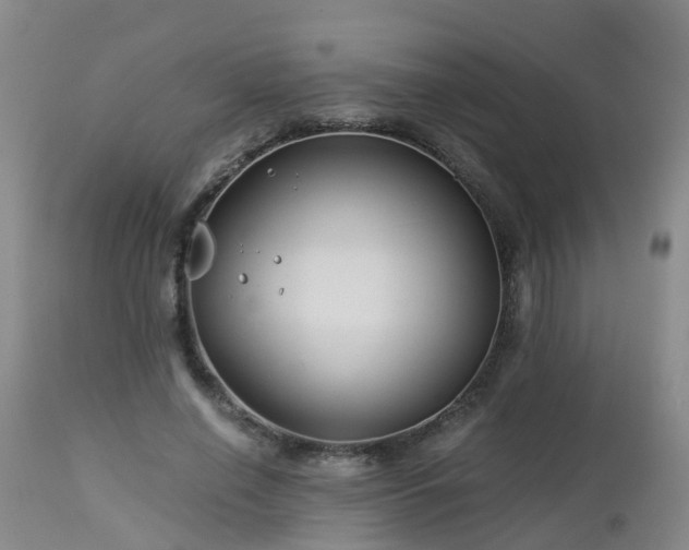 X0000112880638200908281638