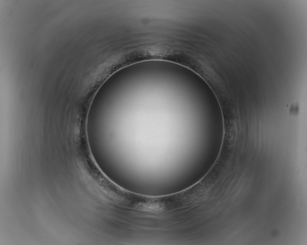 X0000112880639200908281638