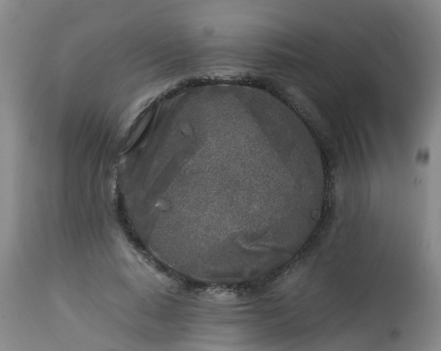 X0000112880640200908281638