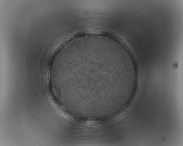 X0000112880641200908281638