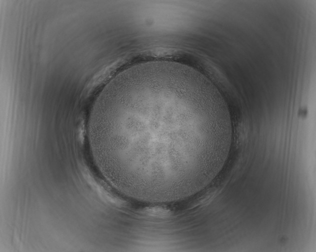 X0000112880644200908281638