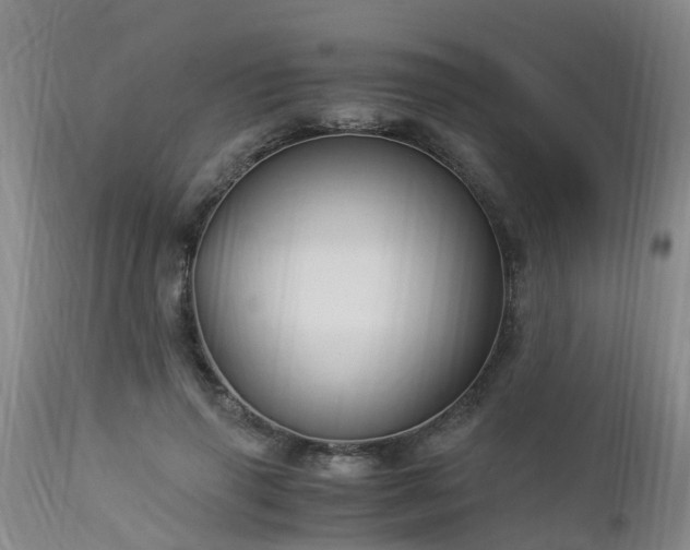 X0000112880645200908281638