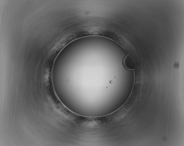 X0000112880646200908281638