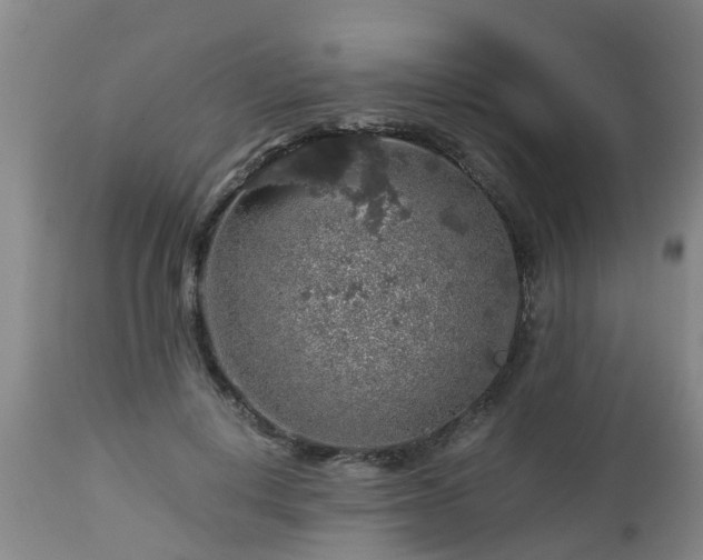 X0000112880648200908281638