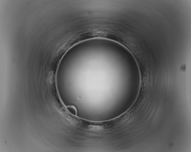 X0000112880649200908281638