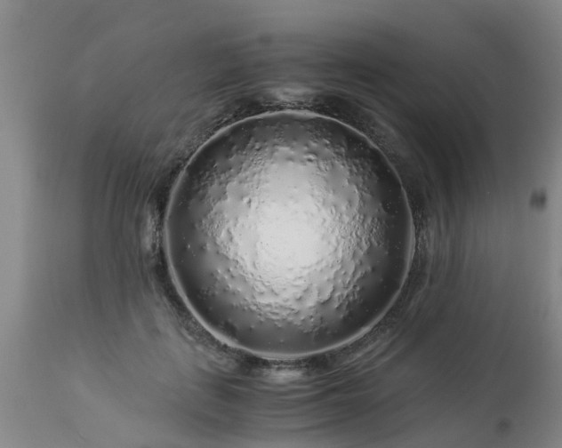 X0000112880651200908281638