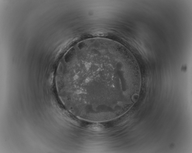 X0000112880652200908281638