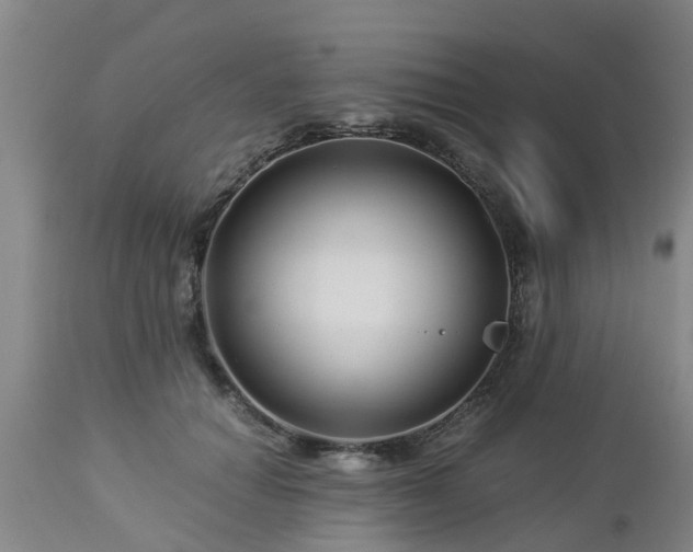 X0000112880654200908281638