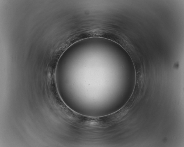 X0000112880655200908281638