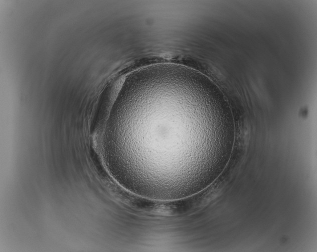 X0000112880656200908281638