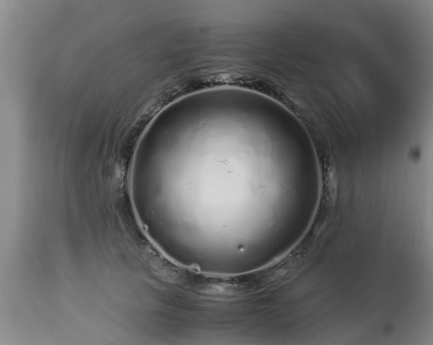 X0000112880657200908281638